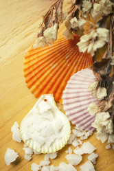 Similar image 8483423