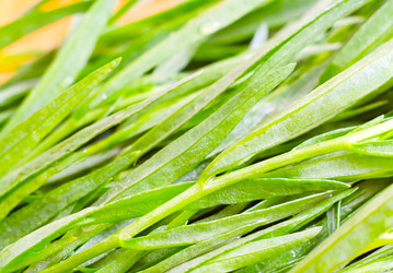 Similar image 8483436