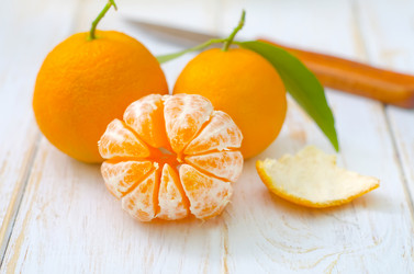 Similar image 8483455