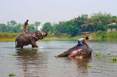 Similar image 8483495