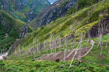 Similar image 8483501