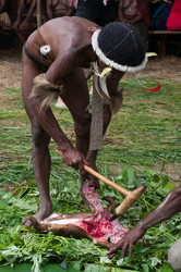 Similar image 8483519