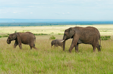 Similar image 8483556