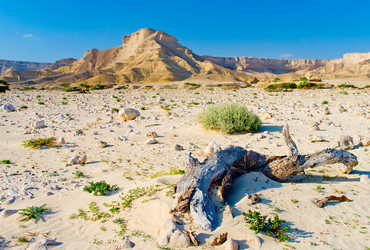 Similar image 8483664