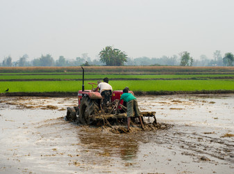 Similar image 8483681