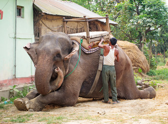 Similar image 8483728