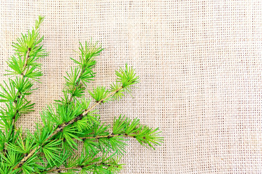 Similar image 8483769