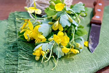 Similar image 8483791