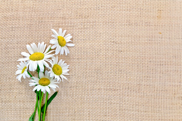 Similar image 8483847