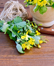 Similar image 8483869