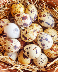 Similar image 8483884