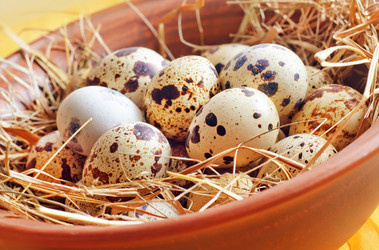 Similar image 8483886