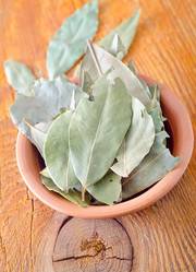 Similar image 8484041