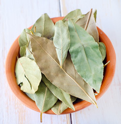 Similar image 8484043