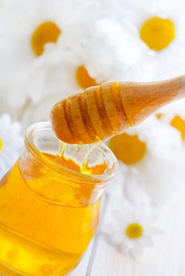 Similar image 8484046