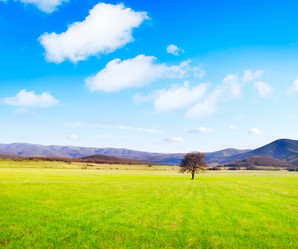 Similar image 8484140