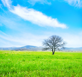 Similar image 8484194