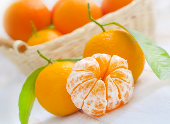 Similar image 8484300