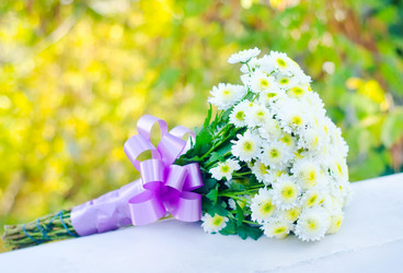 Similar image 8484321