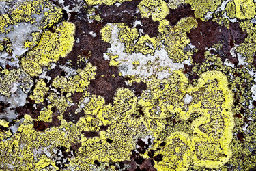 Similar image 8484343