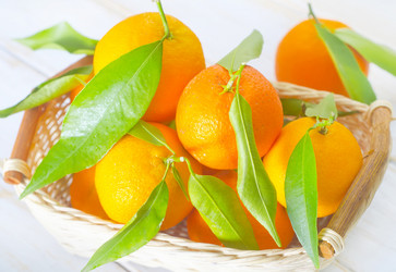 Similar image 8484417