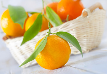 Similar image 8484421