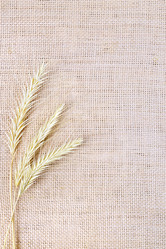 Similar image 8484439