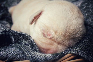 Similar image 8484483