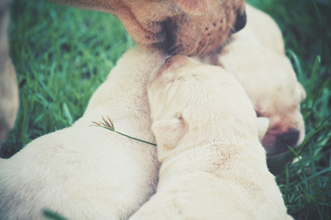 Similar image 8484486