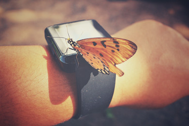 Similar image 8484490