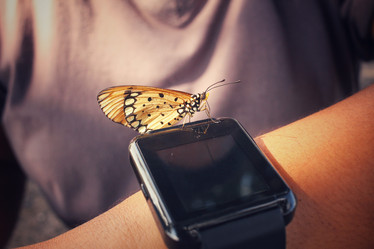 Similar image 8484495