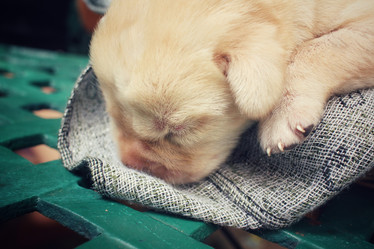 Similar image 8484496