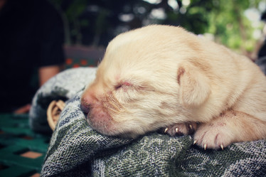 Similar image 8484497