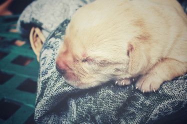 Similar image 8484499