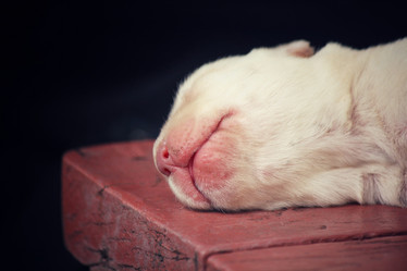 Similar image 8484501