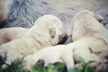 Similar image 8484529