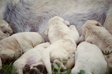 Similar image 8484530