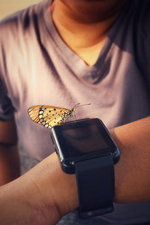 Similar image 8484532