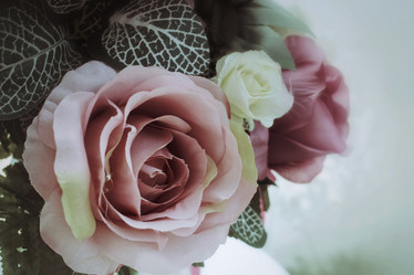 Similar image 8484534