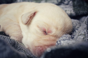 Similar image 8484545