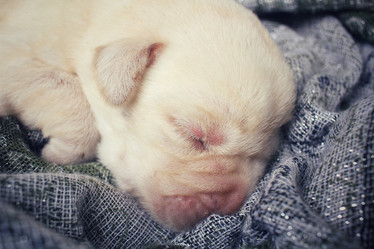 Similar image 8484546