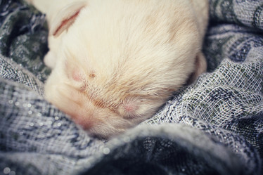 Similar image 8484548