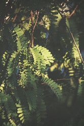 Similar image 8484565