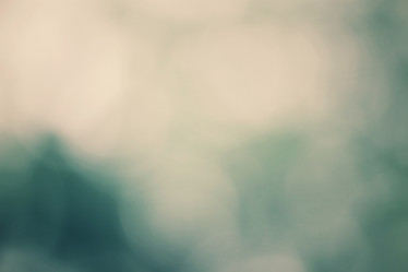 Similar image 8484573