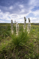 Similar image 8484605