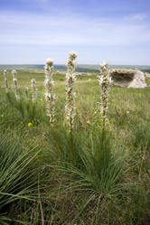 Similar image 8484607