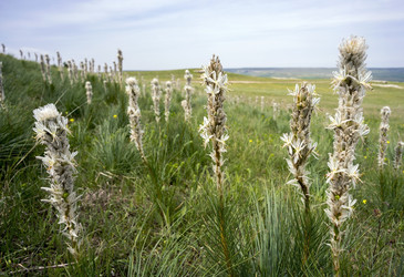 Similar image 8484612