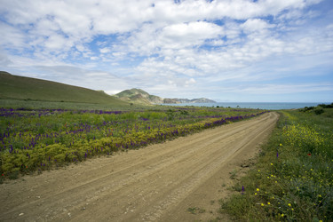 Similar image 8484615