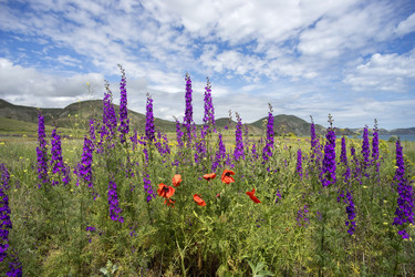 Similar image 8484622