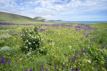 Similar image 8484625